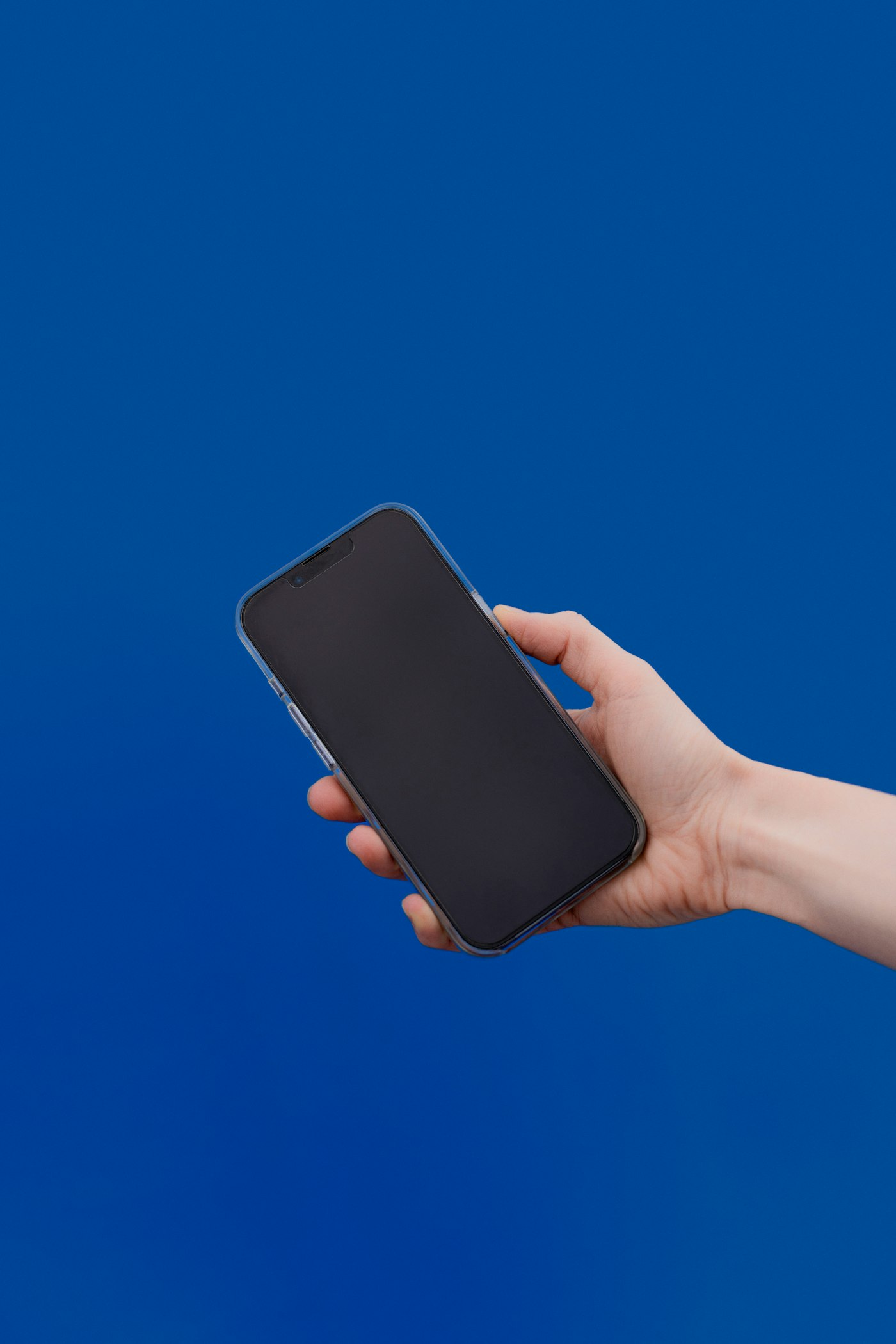 Hand holding a smartphone against a bold blue background, representing digital ad campaign management